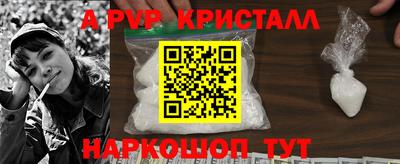 крисы Гагарин