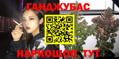 ешки Гай