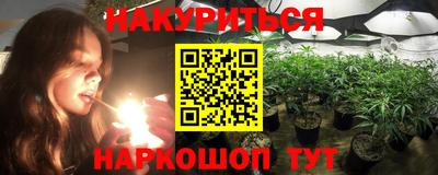 ешки Гай