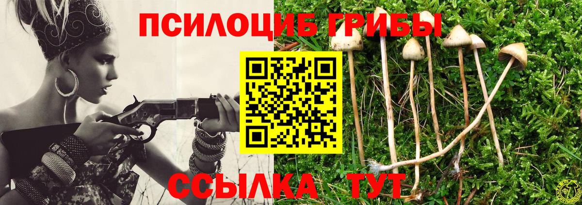 Галлюциногенные грибы Magic Shrooms Чистополь